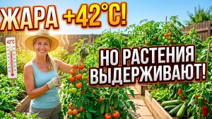Прогулка по огороду. 5 июля, 7 утра