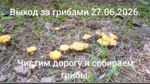 выход за грибами 27.06.2026. ( собираем грибы и расчищает дорогу)