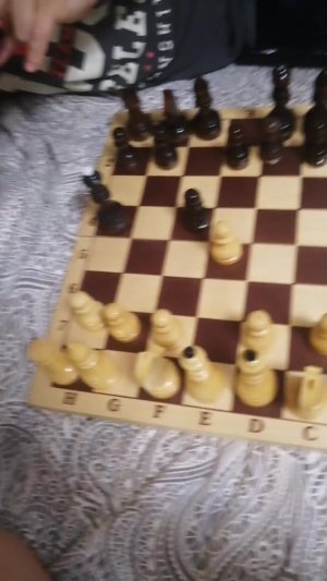 Шахматы