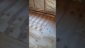 1000063419.mp4 (Собака смотрит на метал. уголки для устройства вытяжной вентиляции в доме А-фрейм)