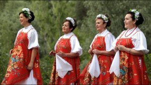 «Ромашковое поле» - Калина красная