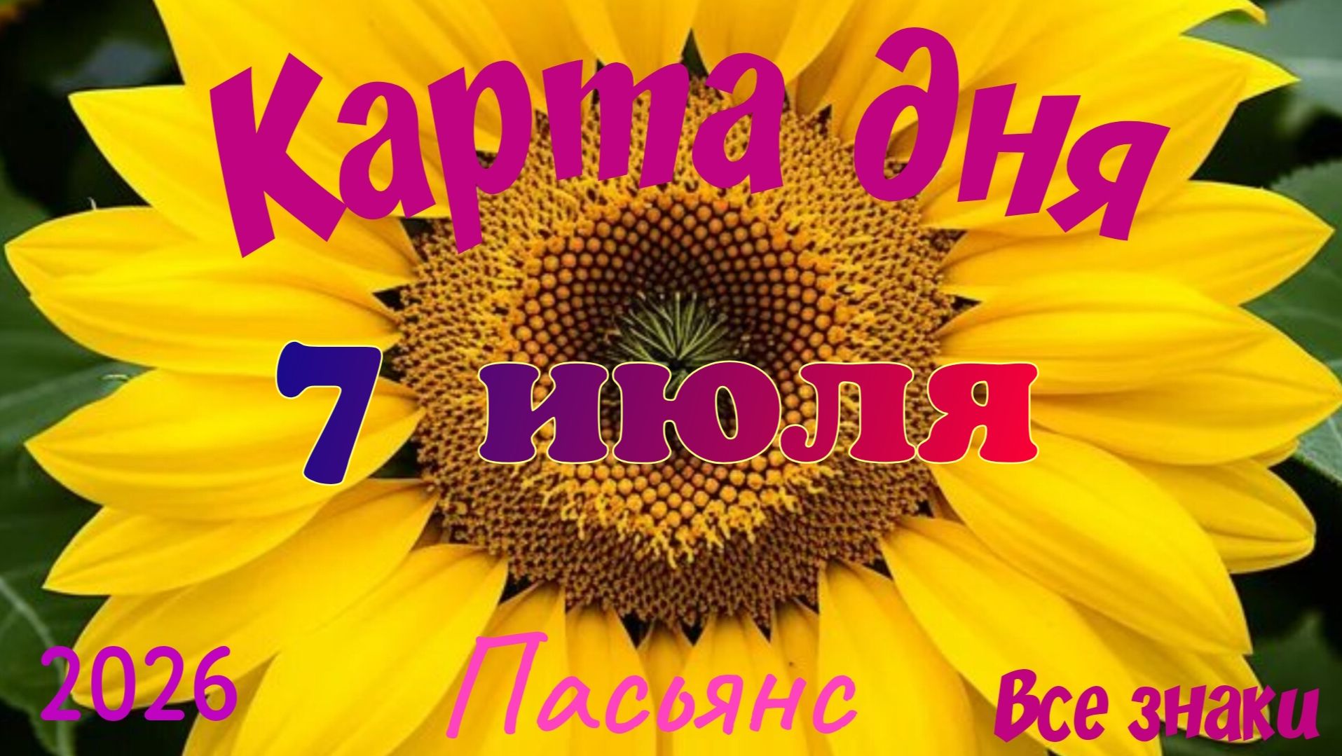 Карта дня🍒7 июля🍀💫Пасьянс. Тайм-код в описании 🦢 смотреть онлайн