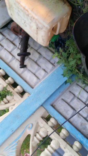 кпс 5 г