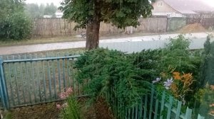Гроза .