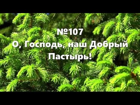 Гимны Надежды 107 О, Господь, наш Добрый Пастырь (минус) смотреть онлайн