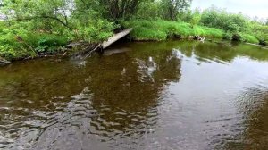 Рыбалка в компании на реке Северная. Часть вторая.