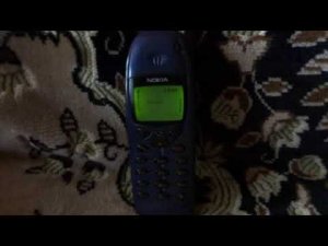 Nokia 6110 incoming call
