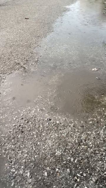 Дождь на юге смотреть онлайн