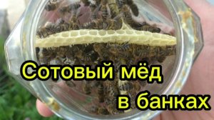 Сотовый мёд в банках