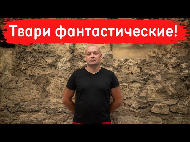 Кто вы: зайцы, свиньи или овцы? смотреть онлайн