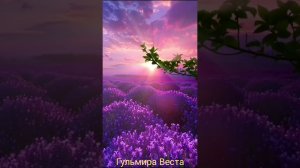 Праздник Солнца #песня #солнцестояние #топ #врек #творчество #женский мир #автор #новыепесни