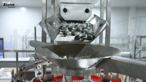 The Future of Detergent Pods is Here: Introducing the S-330GC Laundry Pod Packaging System!