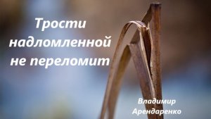 Трости надломленной не переломит. Владимир Арендаренко. 05.07.2026г.
