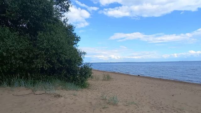 🔴Комарово. Финский залив ( Ленинградская область) 🔥