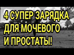4 минутная СУПЕР ЗАРЯДКА для мочевого пузыря и простаты!