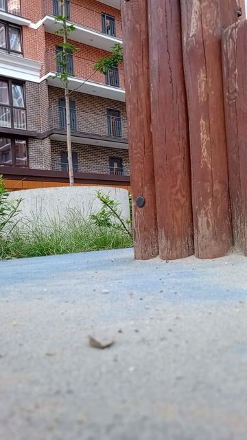 Ламборгини едет на пляж и падает с обрыва