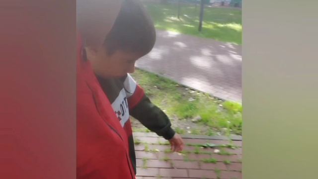 Новые видео
