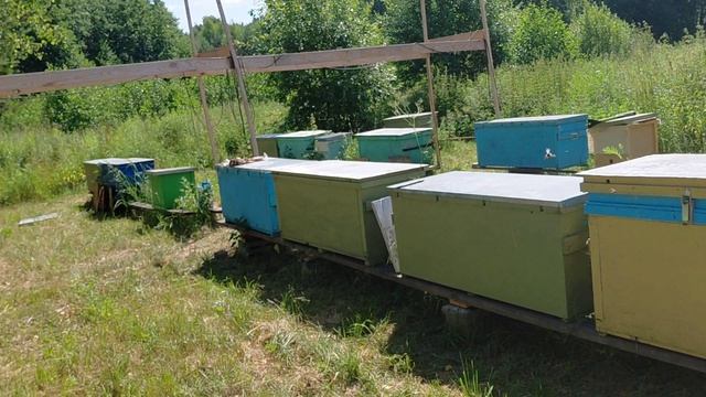 Завершил отбор рамок с мёдом. Жара под 30 не даёт работать после 10 часов смотреть онлайн