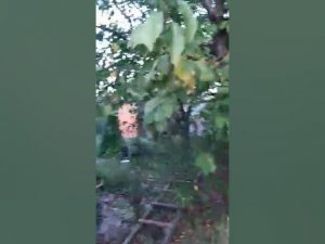 дом нст солнечное на против 9-й тихой