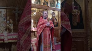 Проповедь настоятеля отца Павла в неделю о самаряныне