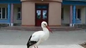 БЫВАЕТ