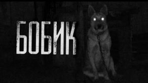 БОБИК... Страшные истории на ночь.