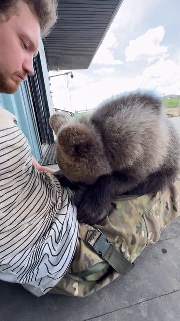 Команда отбой исполнена