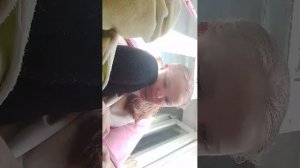 прогулка с Евой