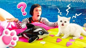 Как котёнок Кефир оказался на сдувающемся матрасе в воде