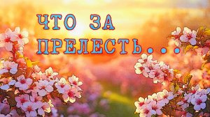 Что за прелесть