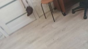 вечерний влог с Лерой!🍼всем приятного просмотра😊влог с реборном ❤🍼🎠