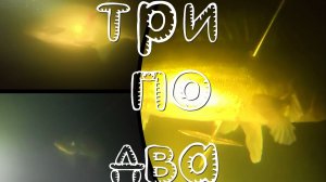 Три по два