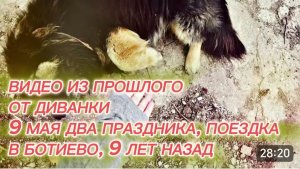 САМВЕЛ АДАМЯН, ПО ПРОСЬБАМ ЗРИТЕЛЕЙ, 9 МАЯ ДВА ПРАЗДНИКА, ПОЕЗДКА В БОТИЕВО, 9 ЛЕТ НАЗАД..