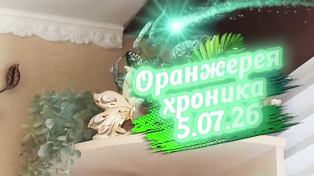 5.07.26☘️👀Наблюдаю и наслаждаюсь увиденным👀☘️