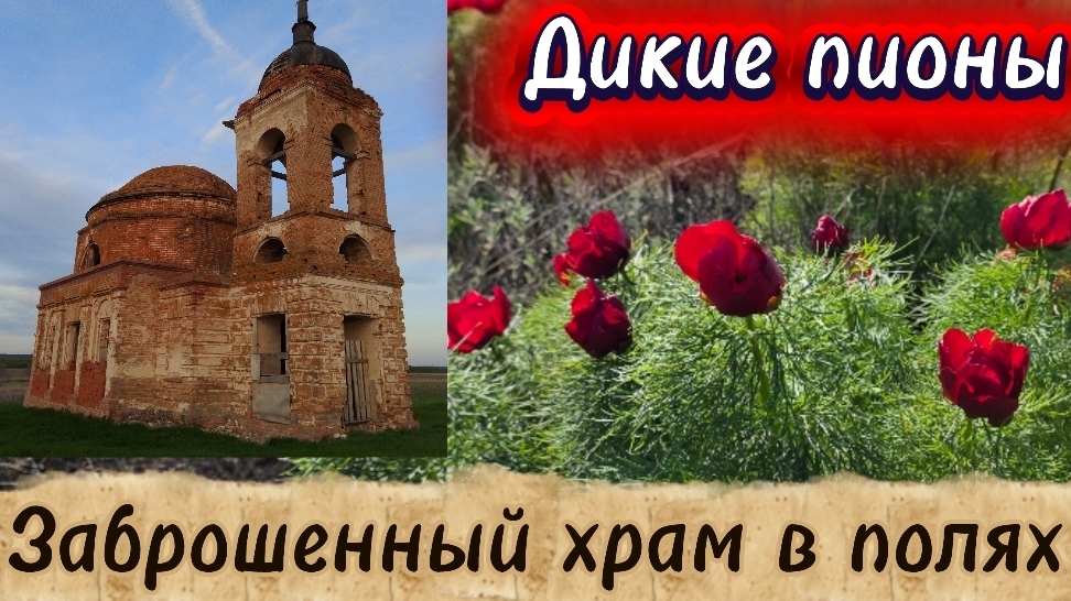 Долина Диких пионов. Заброшенный храм в полях. Интересные места Поволжья. Дороги и деревни России