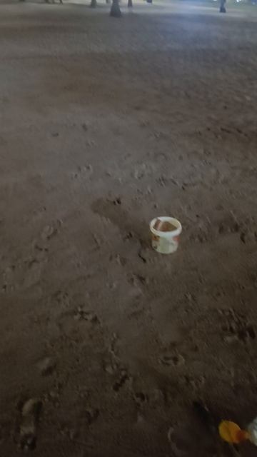 Попугаи захватили пляж в Хошимине! 🌴🦜