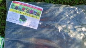 Спасаем ягоды от птиц! Куда потерялся отпуск, вроде тут а нет уже😅!