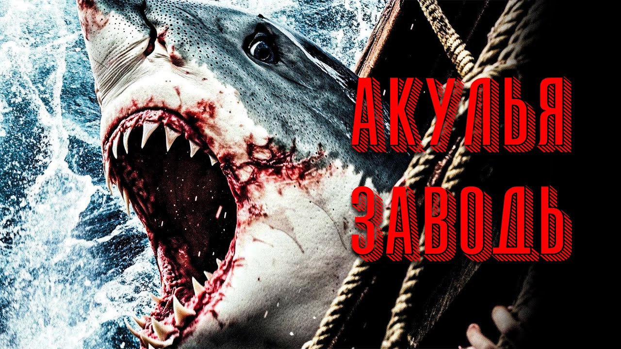 СТАЯ АКУЛ ЗАГНАЛА ИХ В ЛОВУШКУ 🦈 НО САМОЕ СТРАШНОЕ ЕЩЁ ВПЕРЕДИ! 💀// Ужасы, Триллер @kinokonvpalto