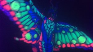 UV# 2 Butterfly