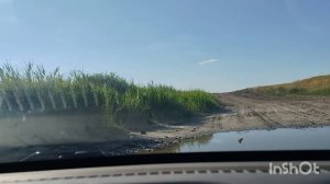 поездка за внуками/на заправке очередь//супер рецепт заморозки кабачков на зиму✔️👌