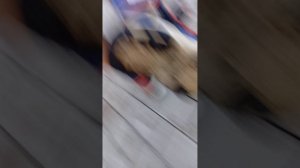 ГУЛЯЕМ