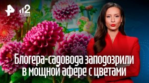 Дачницы обвиняют популярного блогера-садовода в афере