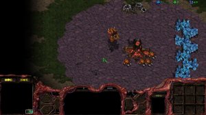 Starcraft Broodwar: Oldschool