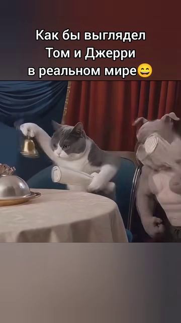 Том и Джери