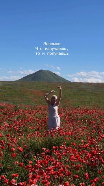 Мы сами разукрашиваем нашу жизнь, выбери правильные цвета 🌺
#краскижизни #природа #маковоеполе