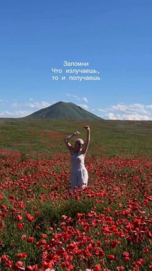 Мы сами разукрашиваем нашу жизнь, выбери правильные цвета 🌺
#краскижизни #природа #маковоеполе