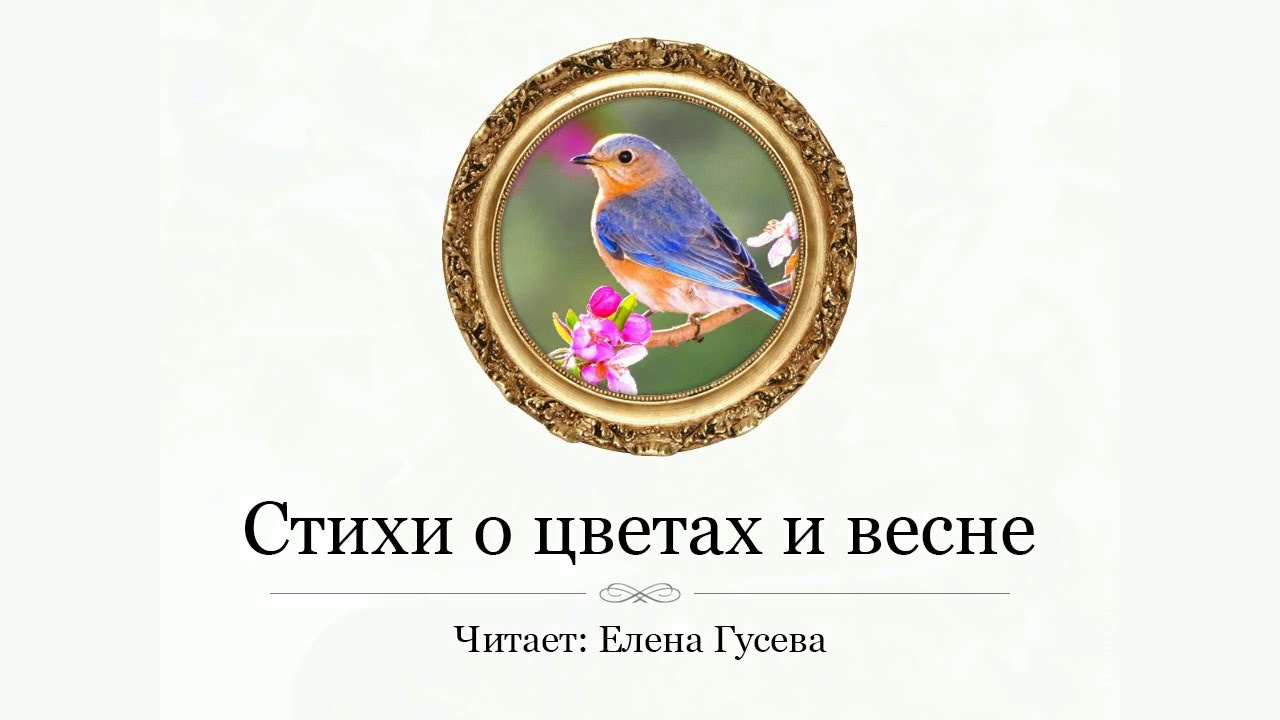 Фиалка. Алексей Плещеев (слушать) смотреть онлайн