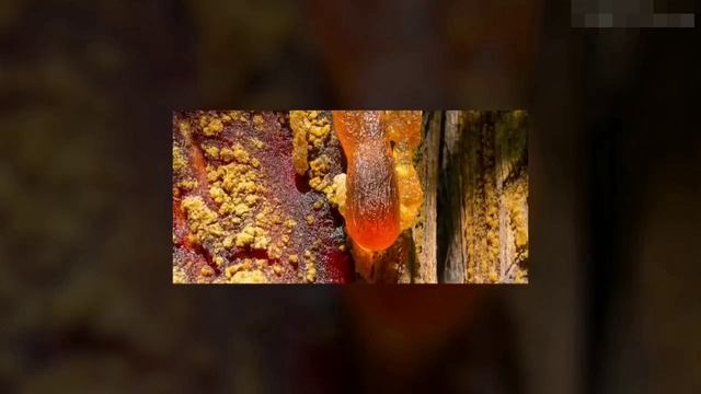 Находки которые неудобны. Науке часть 3