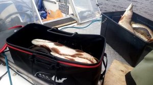 Съездили на ура 👍 , отловились на славу.🎣🎣🎣
