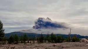 🔥Вулкан Шивелуч на Камчатке выбросил пепел на высоту 12 км.

Есть тут у нас кто с Камчатки?
